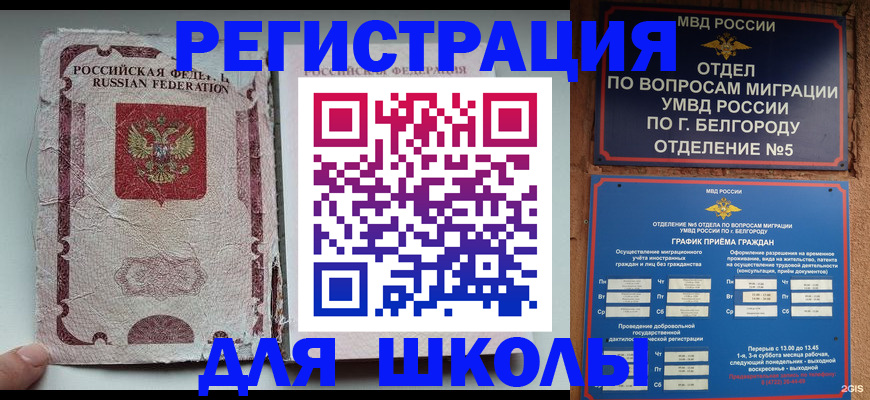 прописка гарантия в Малой Вишере